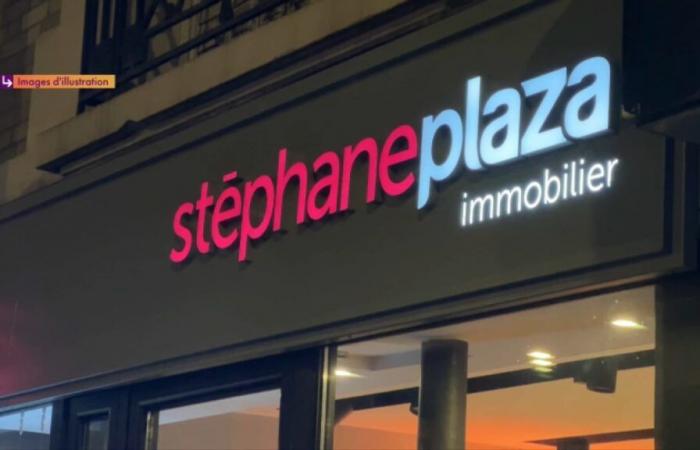 des agences immobilières Stéphane Plaza souhaitent quitter la franchise