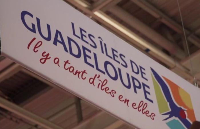 autant de richesses à découvrir sur les spots de Guadeloupe !