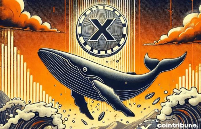 Les baleines propulsent à nouveau XRP au sommet