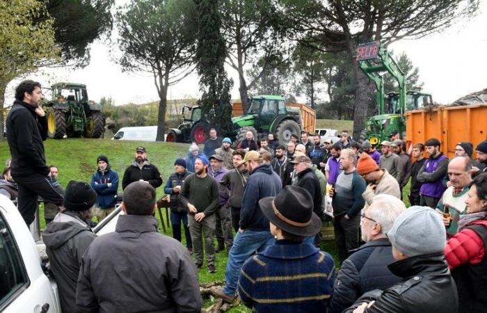 Vice-président de la FDSEA et des JA, le Syndicat des éleveurs de l’Aude veut « porter la voix des éleveurs » à la Chambre d’agriculture