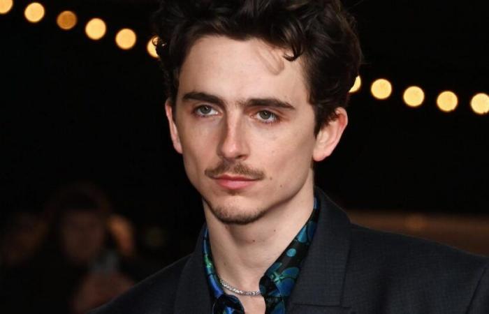 Timothée Chalamet se confie sur son rôle dans Un Parfait Inconnu