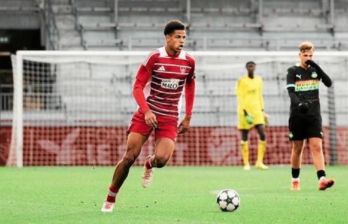 Nouveau projet de Guillaume Pape, attaques en série et Coupe de France : Bonjour Brest !