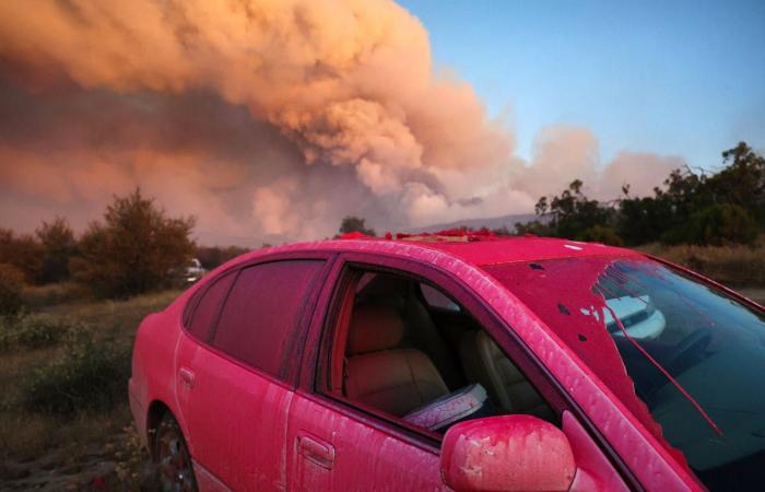 Quelle est cette substance rose larguée sur les incendies ?