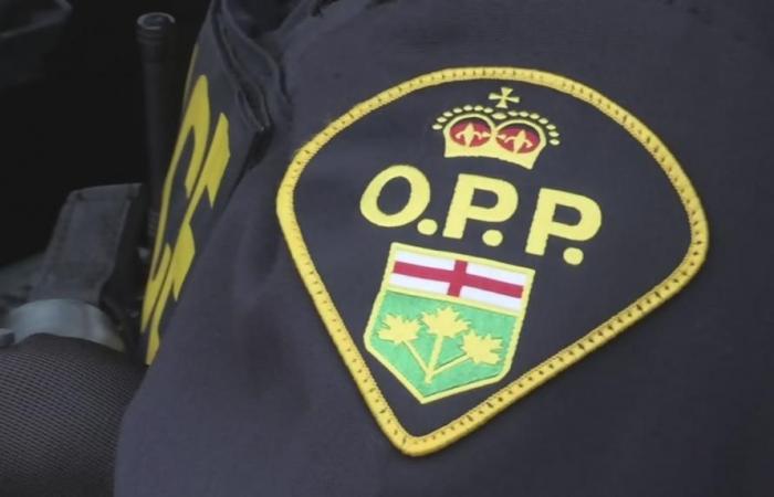 De nombreuses accusations portées à la fin de la campagne Festive RIDE de la Police provinciale de l’Ontario