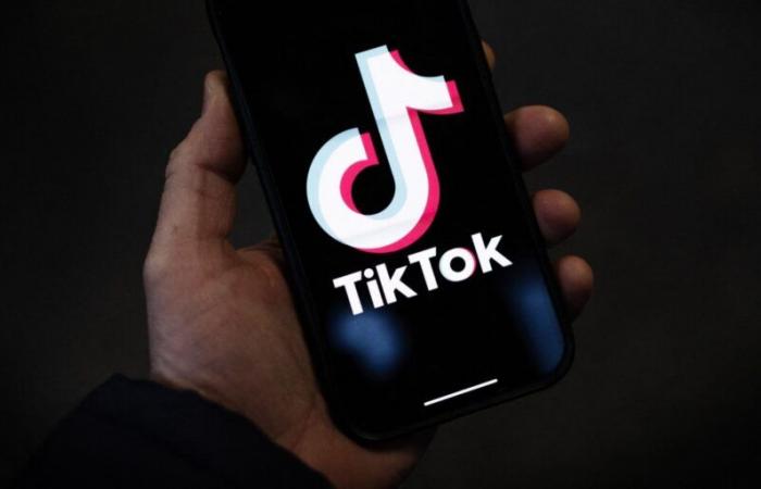 Elon Musk en discussions pour racheter TikTok aux USA, une « pure fiction » selon la plateforme