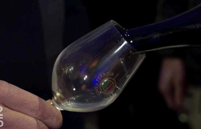 Depuis 50 ans, le vin non filtré sort des caves neuchâteloises et a fait sa place – rts.ch