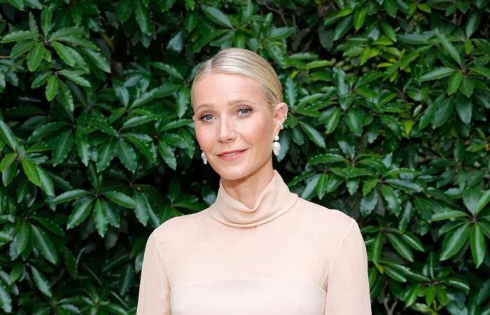 Gwyneth Paltrow rejoint les célébrités qui ont fait un don à Los Angeles Wildfires Relief