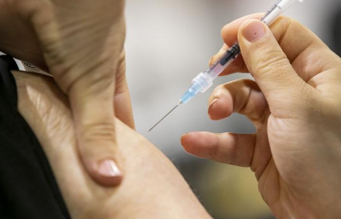 Grippe aviaire | Washington annonce de nouveaux financements pour développer des vaccins