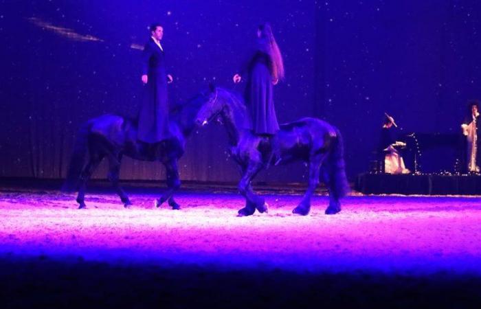 In Avignon, the Crinières d’or gala, THE unmissable event for Cheval Passion