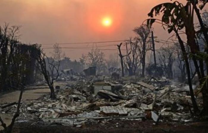 Incendies à Los Angeles et assurances : le point sur la situation