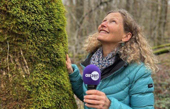 la nature a des effets sur la dépression