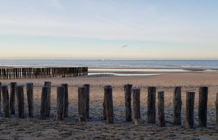 Bulletin météo. Quel temps fait-il ce jeudi 16 janvier dans les Hauts-de-France ?