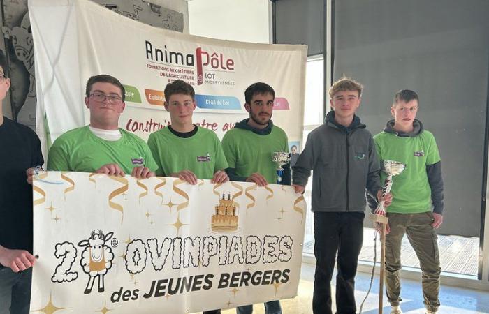 Quatre Lotois en finale au Salon de l’Agriculture pour devenir le meilleur jeune berger de France