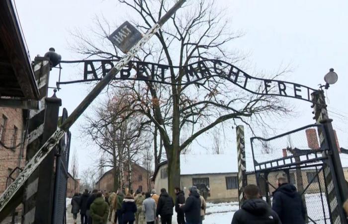 une centaine de jeunes Belges visitent Auschwitz