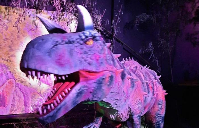 Une exposition #fun de dinosaures sera installée au Country Hall