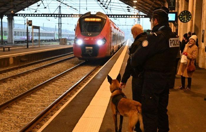 Vaste opération antidrogue dans les trains du Lot et en gare de Cahors, 200 passagers contrôlés ce jeudi