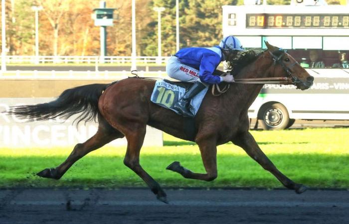 Mathieu Mottier, numéro 1 incontesté chez les jockeys