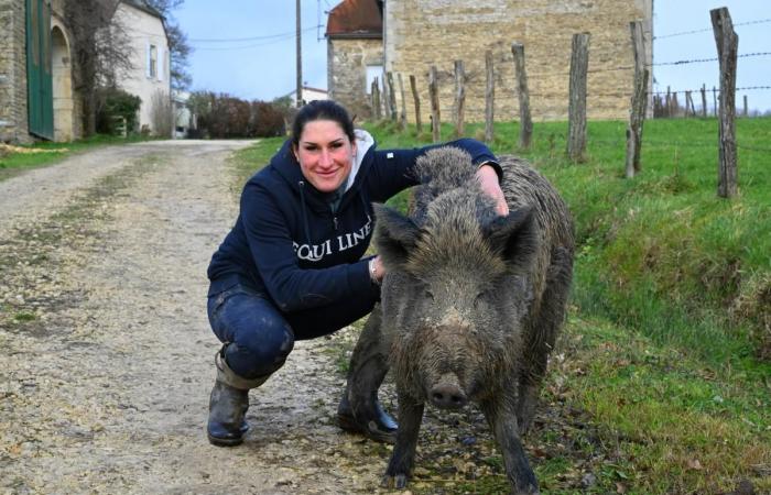 Agriculture à but lucratif – Vert