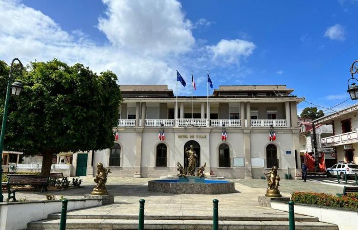 Une brochure de l’Union de Défense du Patrimoine Agricole des Îles de Guadeloupe pour expliquer le conflit foncier de Daubin à Sainte-Rose