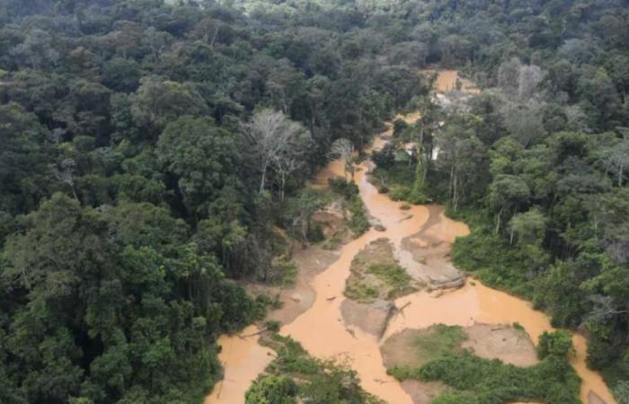 En Guyane, des militaires poursuivis pour extorsion auprès d’un site clandestin d’orpaillage