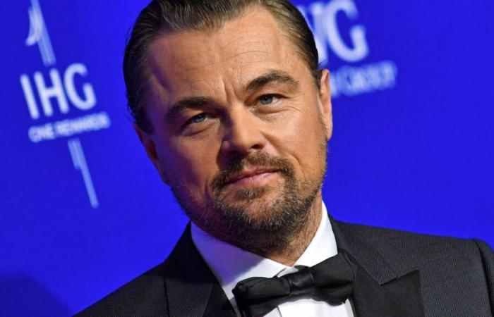 Leonardo DiCaprio fait don d’un million de dollars pour lutter contre les incendies