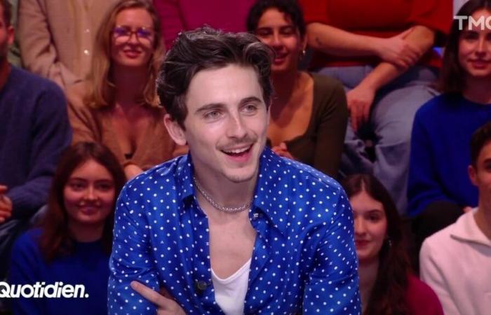 “Petit jeune blanc maigre presque malade”, Timothée Chalamet se lâche complètement dans Quotidien