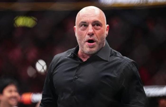 Joe Rogan impressionné par la forme « folle » d’Arman Tsarukyan pour le combat d’Islam Makhachev à l’UFC 311