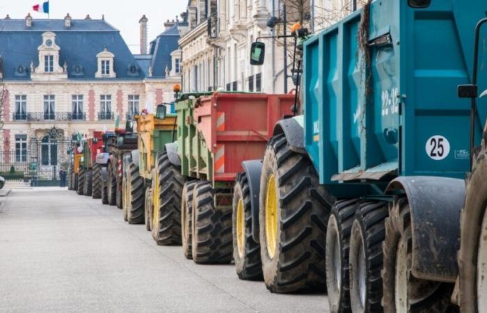 Agriculture à but lucratif – Vert