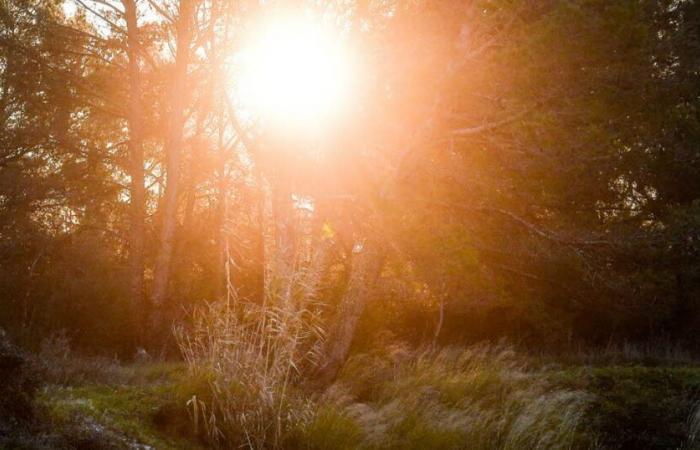 gelées, froid mais soleil pour commencer le week-end