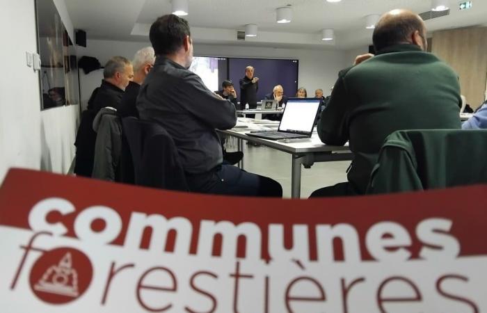 Les communautés forestières de Corse s’unissent au sein d’une association régionale pour relancer la filière bois