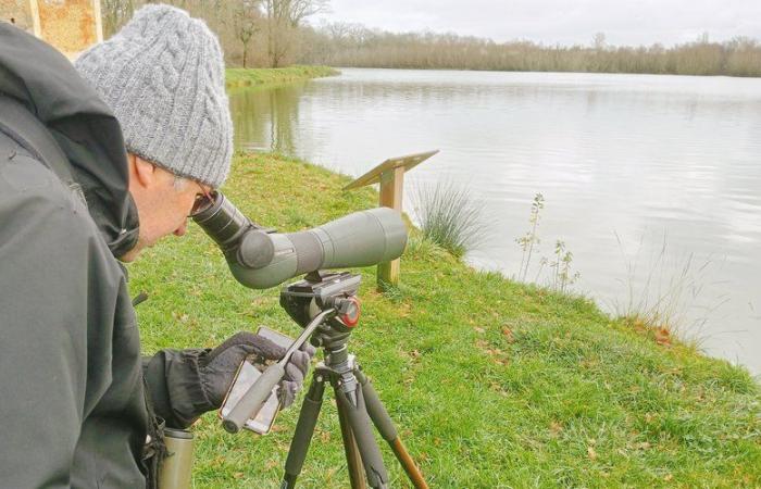 quel est le but du recensement des oiseaux d’eau ?