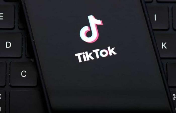 TikTok demeurera disponible au Québec dimanche malgré un possible blocage aux États-Unis