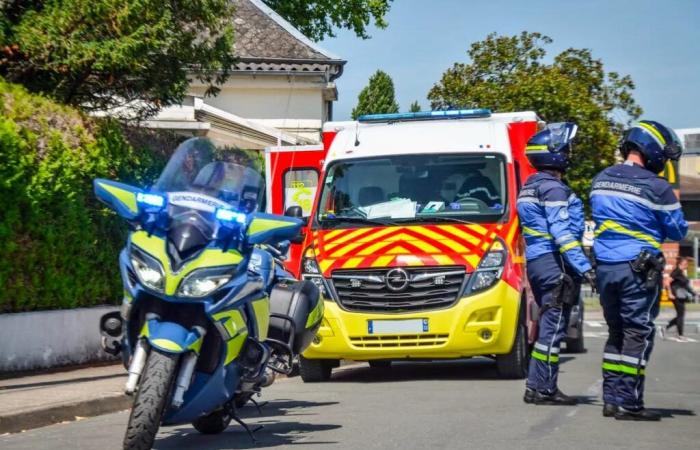 Il frappe un policier avant de lâcher une arme prête à tirer