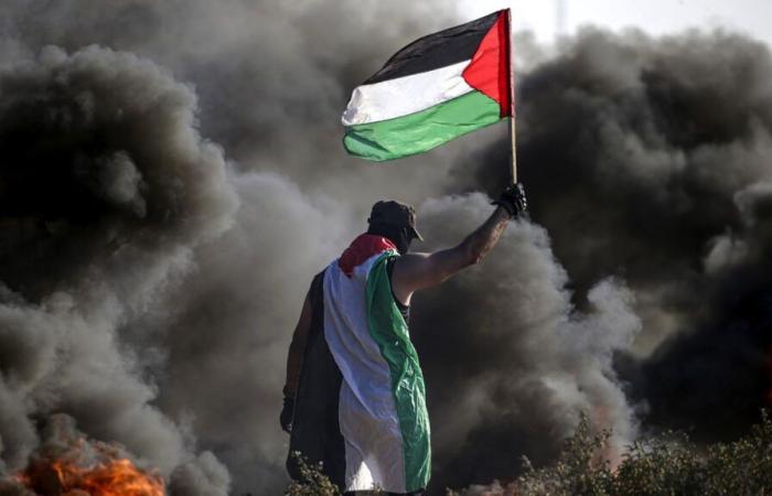 Témoignages de Gazaouis : Survie au quotidien dans l’enfer de Gaza – partie 279 / 15 janvier – Après l’annonce d’un cessez-le-feu – Mouvement de Solidarité Internationale