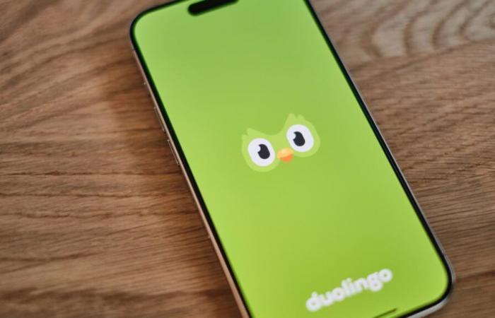 Sur Duolingo, tout le monde veut apprendre le mandarin pour passer au « nouveau TikTok » aux Etats-Unis