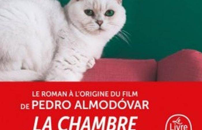 « Quel est ton tourment ? » C’est le livre derrière le nouveau film d’Almodóvar