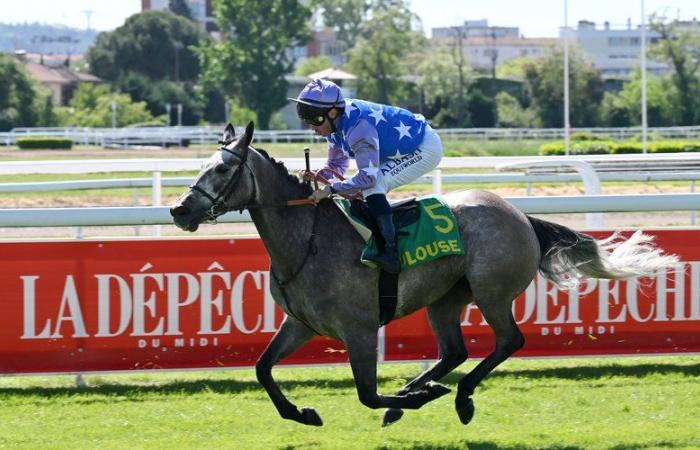 L’Hippodrome de Toulouse fête déjà le Prix d’Amérique