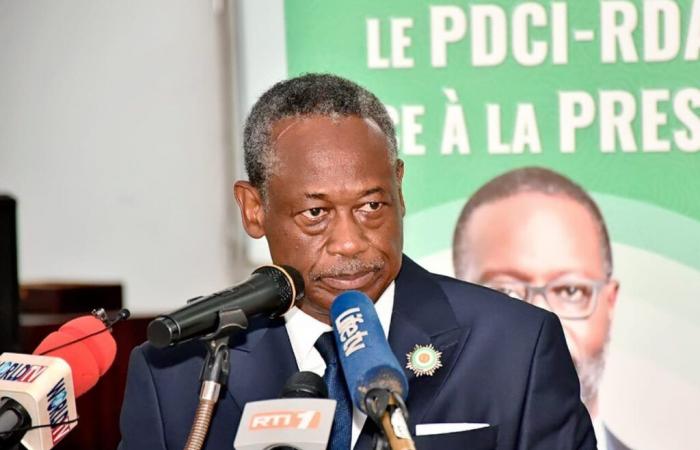 RCI : le PDCI pour un prix de 500 Fcfa le kg de noix de cajou