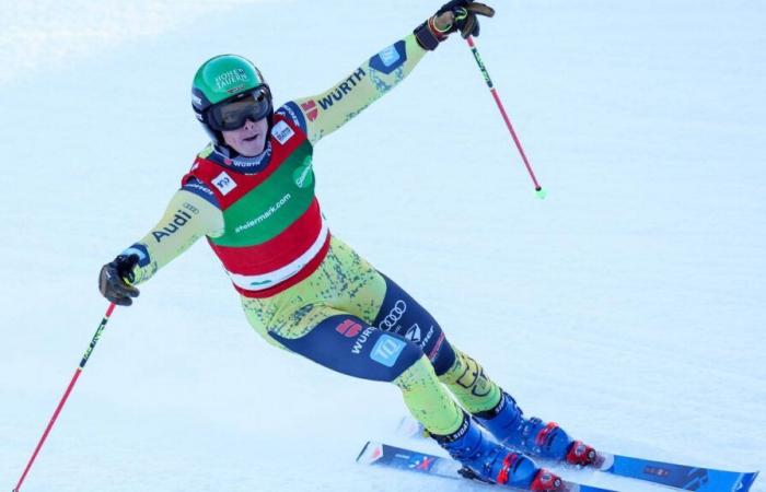 Les as du ski cross Wilmsmann et Maier tombent au Reiteralm