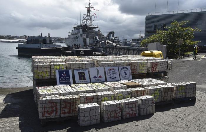 Plus de 9 tonnes de cocaïne interceptées au large de la Martinique