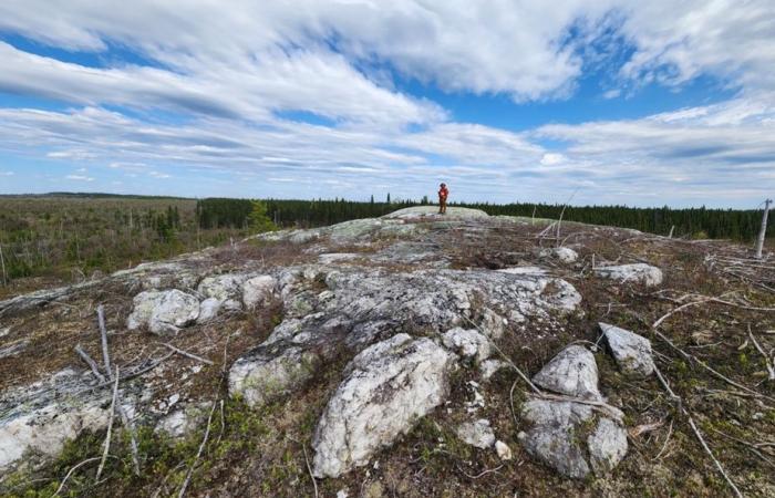 Secteur des batteries | Un gisement de lithium à portée de main