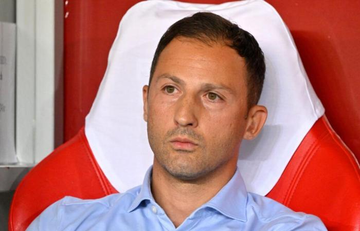 Domenico Tedesco évincé de la direction de l’équipe belge