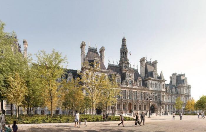 la « forêt urbaine » a commencé à être plantée sur la place devant la mairie