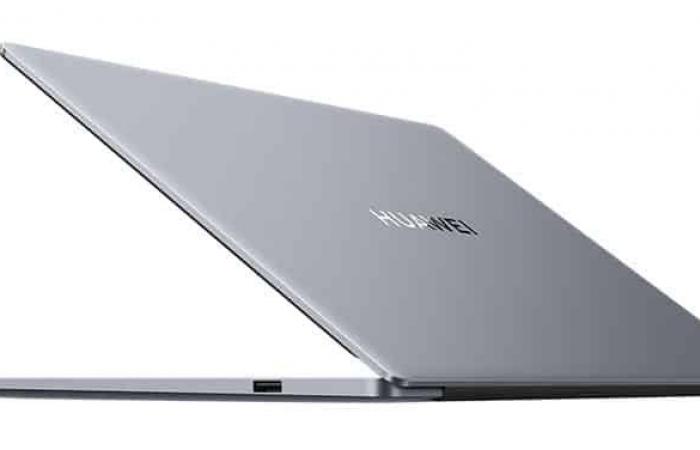 Huawei MateBook D 14 2024, Ultrabook 14″ 16/10 Argent nomade 8 heures facile à transporter sous hautes performances Intel Core i5-13420H – LaptopSpirit