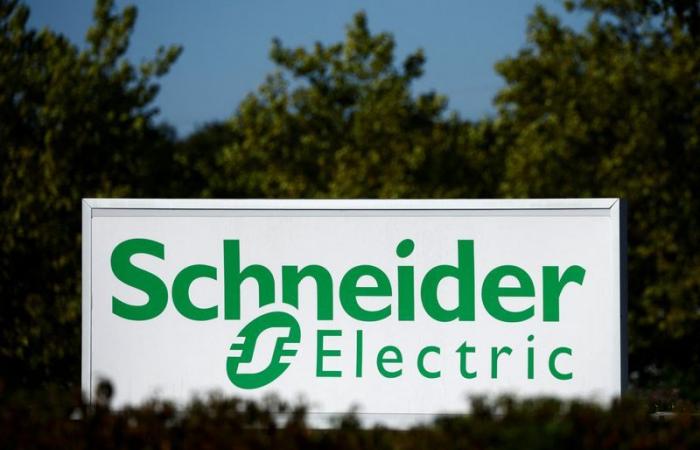 Schneider Electric, EssilorLuxottica, Richemont, Geberit, Thule, Société Générale… – 01/17/2025