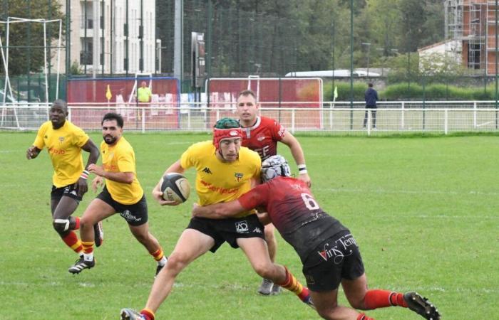 Rugby in Dordogne: Trélissac, ambitious runner-up