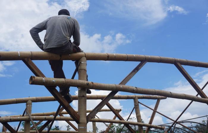 A Mayotte dévastée par le cyclone, « les agriculteurs ont tout perdu »