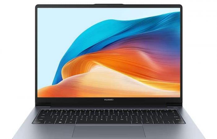 Huawei MateBook D 14 2024, Ultrabook 14″ 16/10 Argent nomade 8 heures facile à transporter sous hautes performances Intel Core i5-13420H – LaptopSpirit