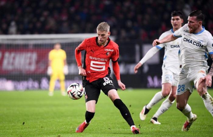 Several players sidelined at Stade Rennais – France – Stade Rennais