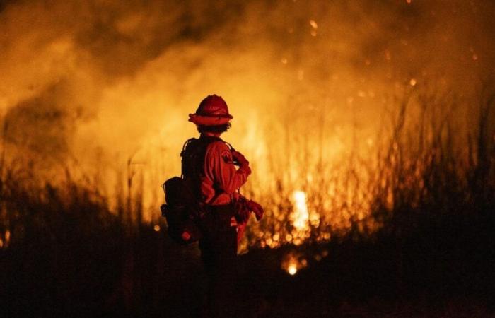 VRAI OU FAUX. Mauvaise gestion, coupes budgétaires, pillages… Nous avons vérifié six affirmations sur les incendies de Los Angeles